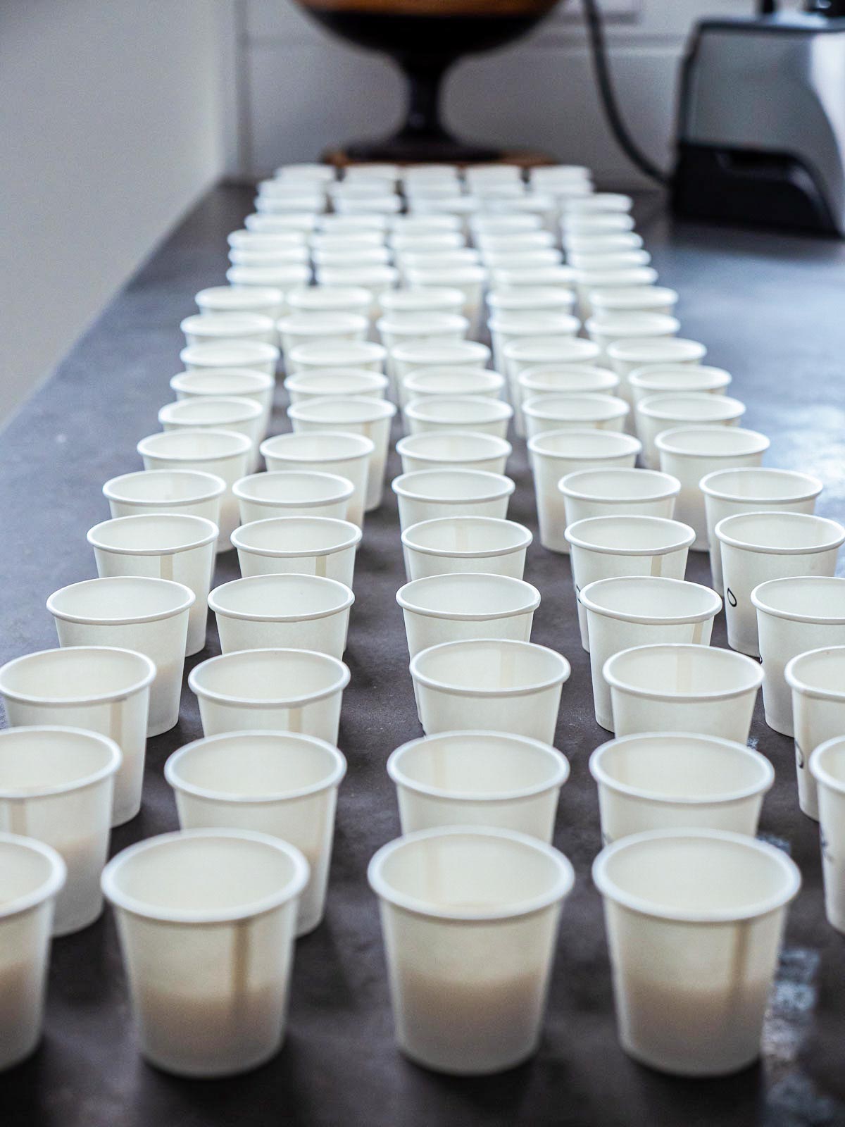 a counter full of tiny white cups filled with various brands of almond milk.