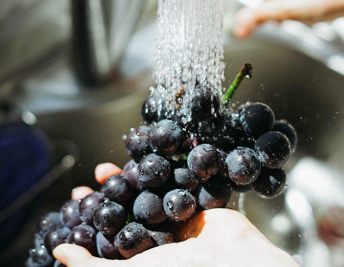 white hand holding purple grapes under a running faucet. 