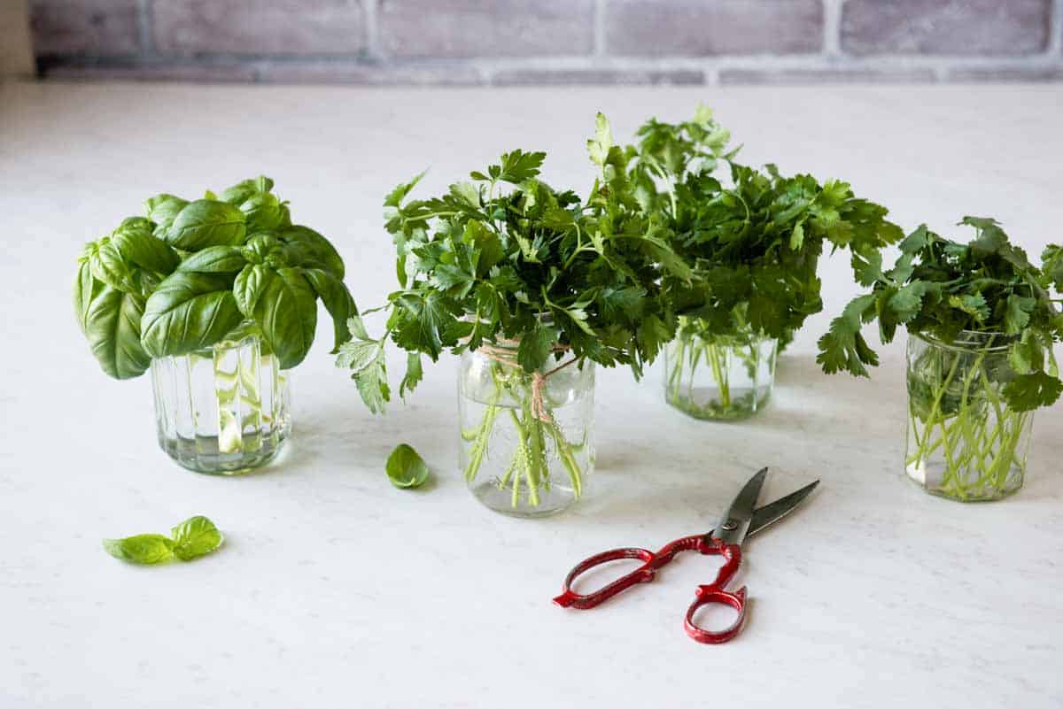 how to grow and store fresh herbs in mason jars 