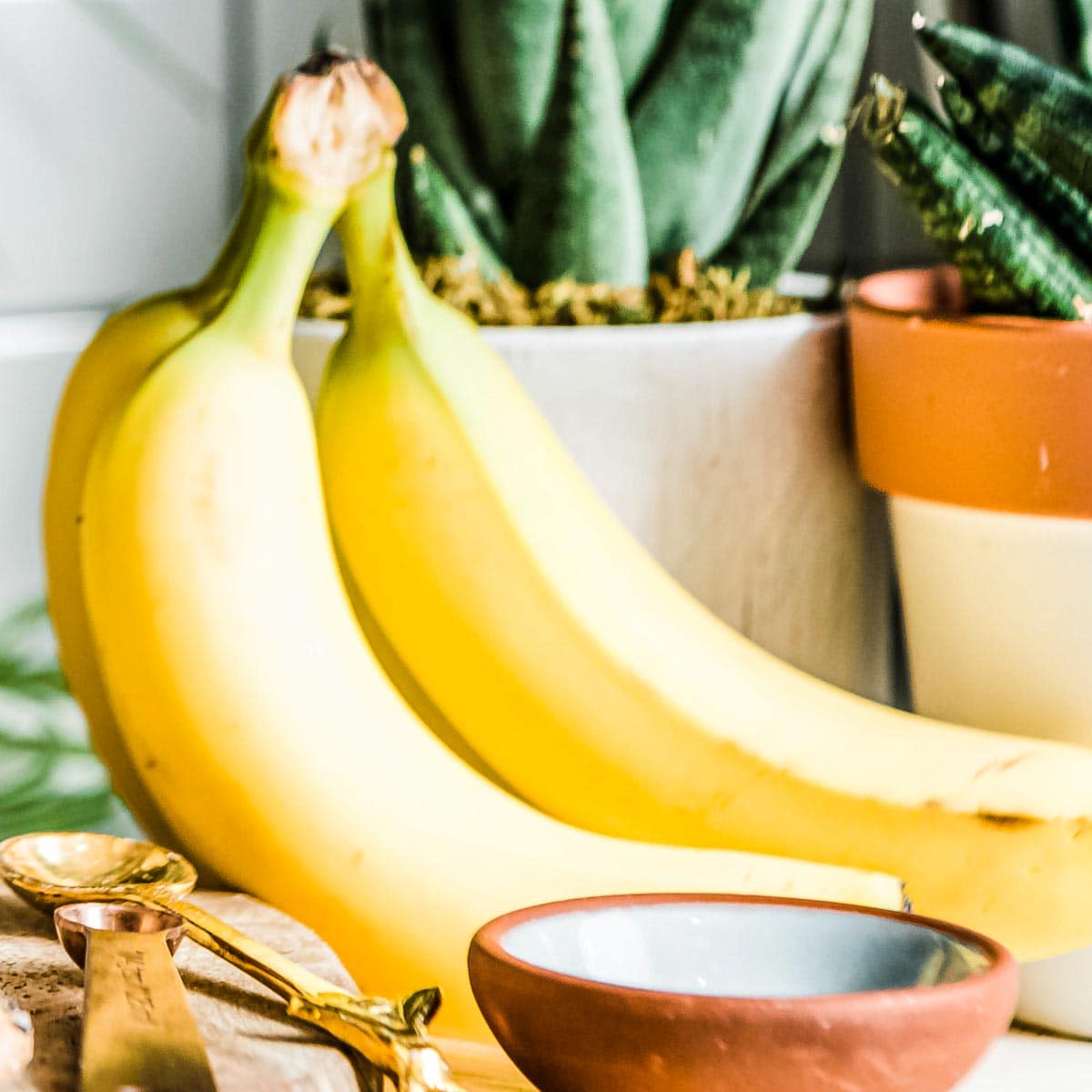 fresh group of bananas on a countertop.