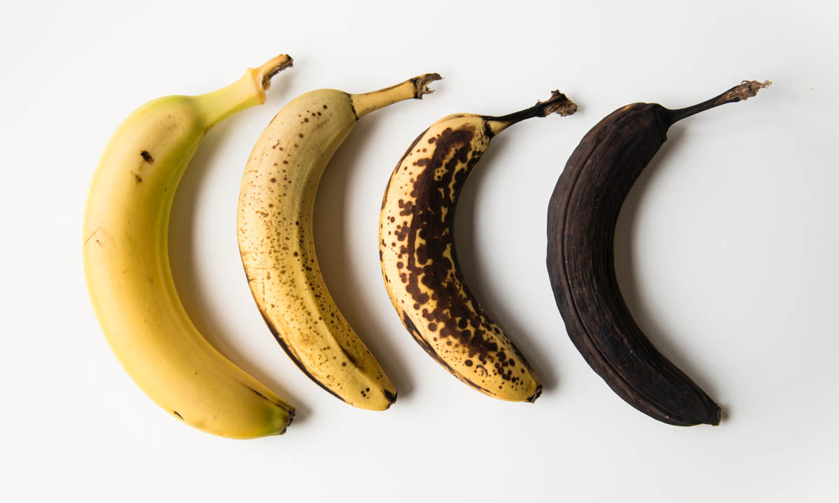 4 bananas in a row, the far left one is yellow with slight green on it, next is yellow with some spots, third is half brown and half yellow, the fourth is completely brown and visibly smaller.