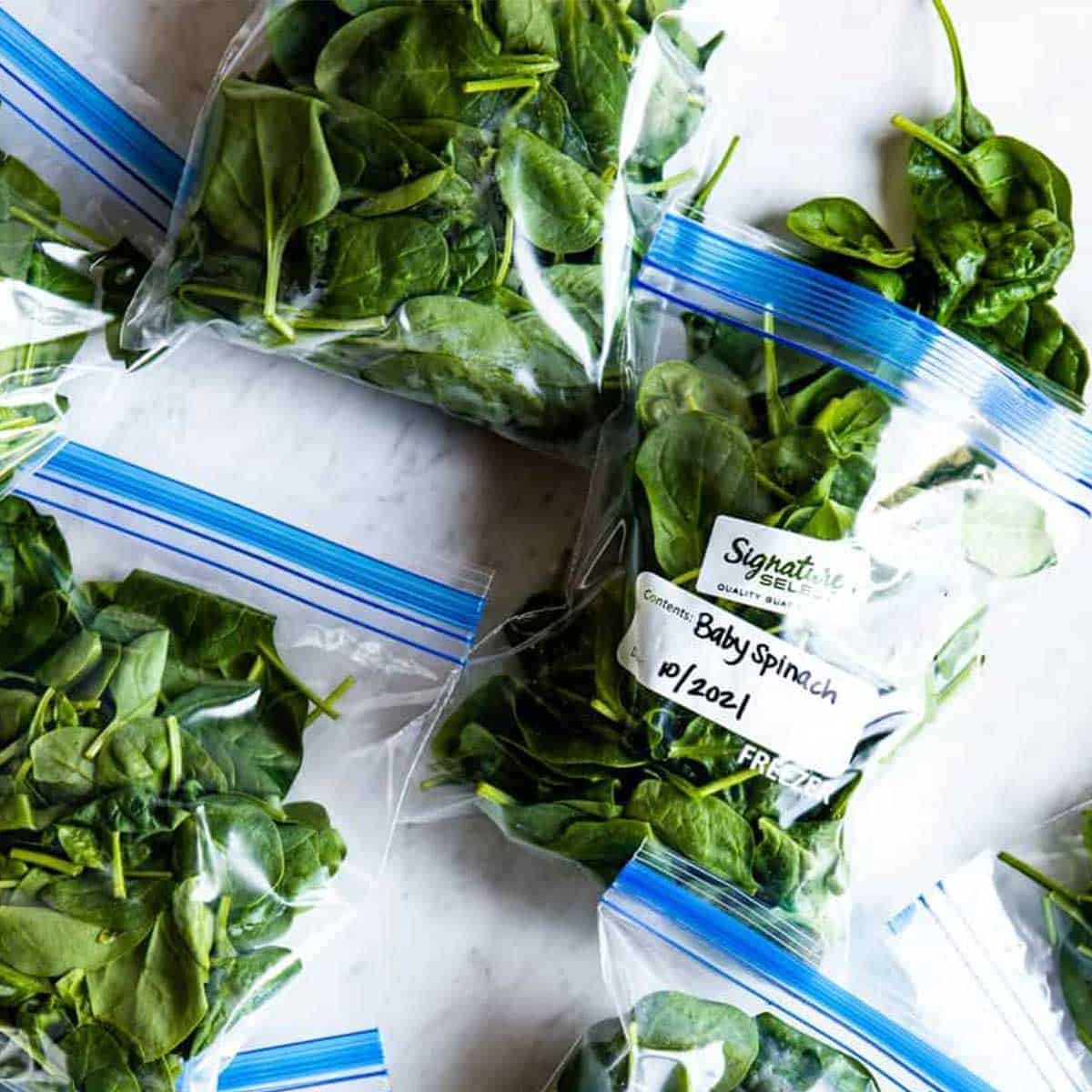 making bags of spinach to show how to freeze spinach.