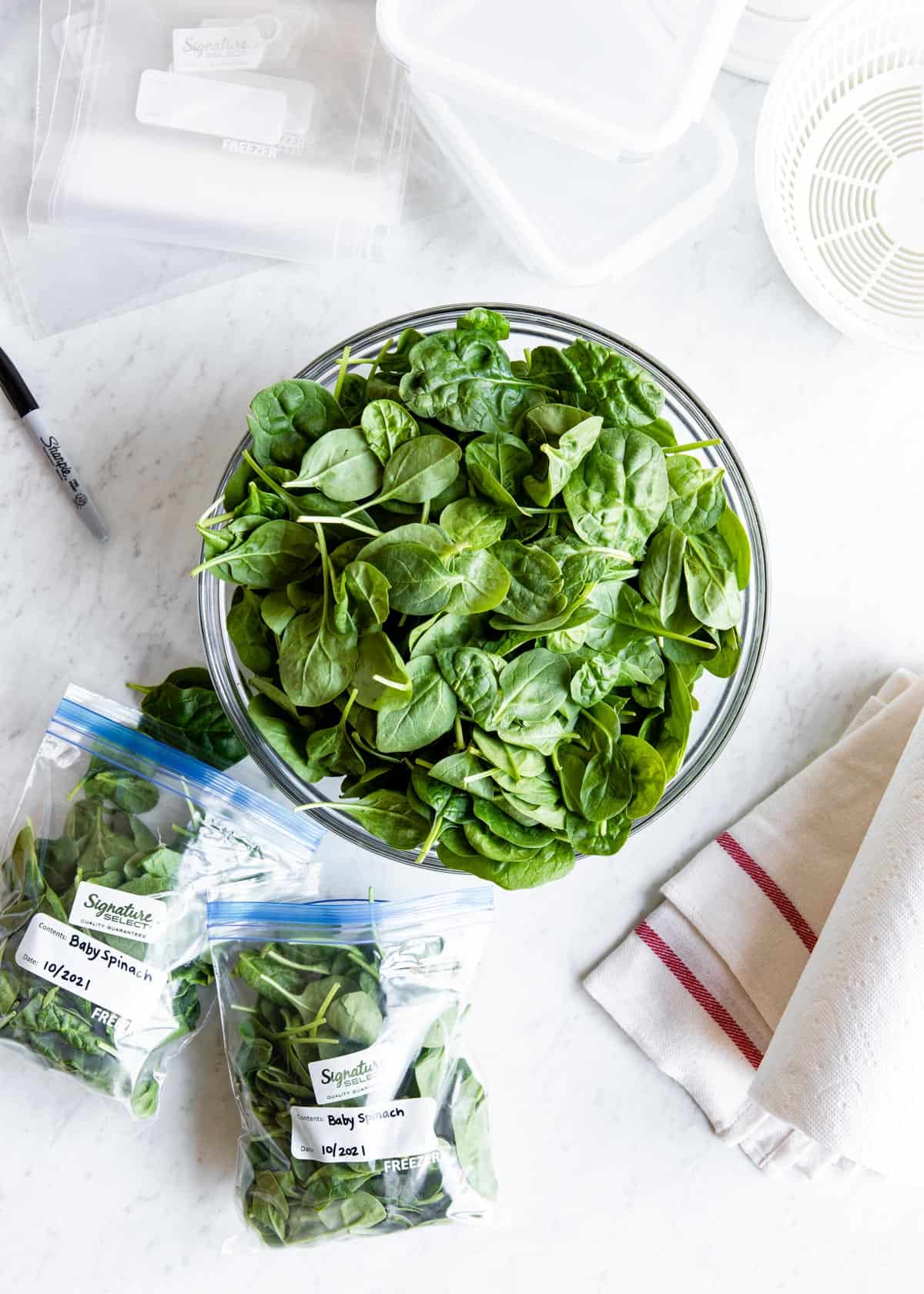 placing leafy greens into plastic freezer bags for storage.