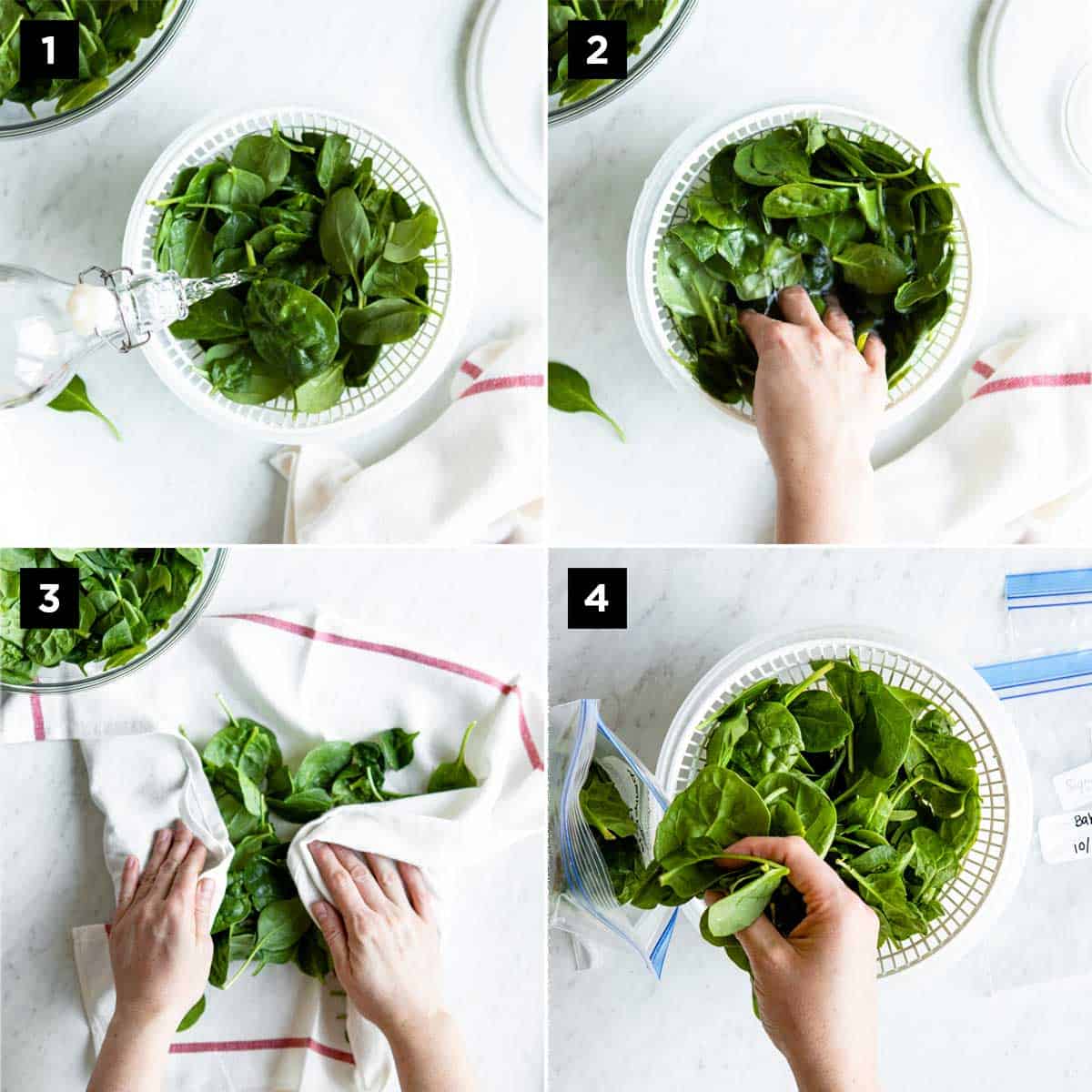 washing spinach with water in a white strainer then gently drying with a tea towel before placing in a storage bag to freeze.