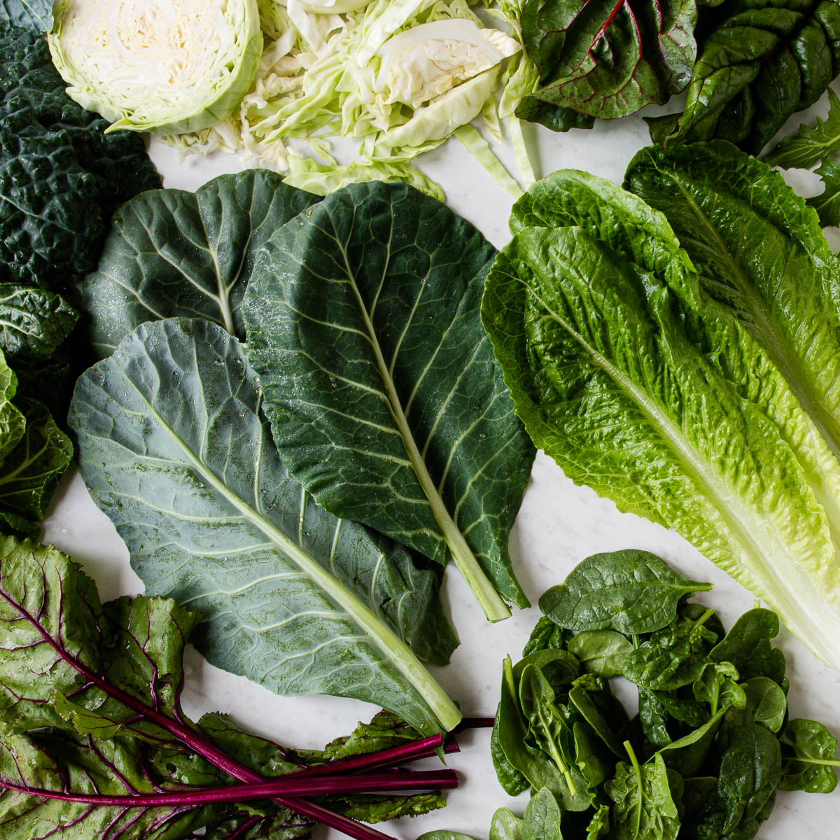 several kinds of leafy greens like lettuce, Swiss chard, spinach and Brussels sprouts.