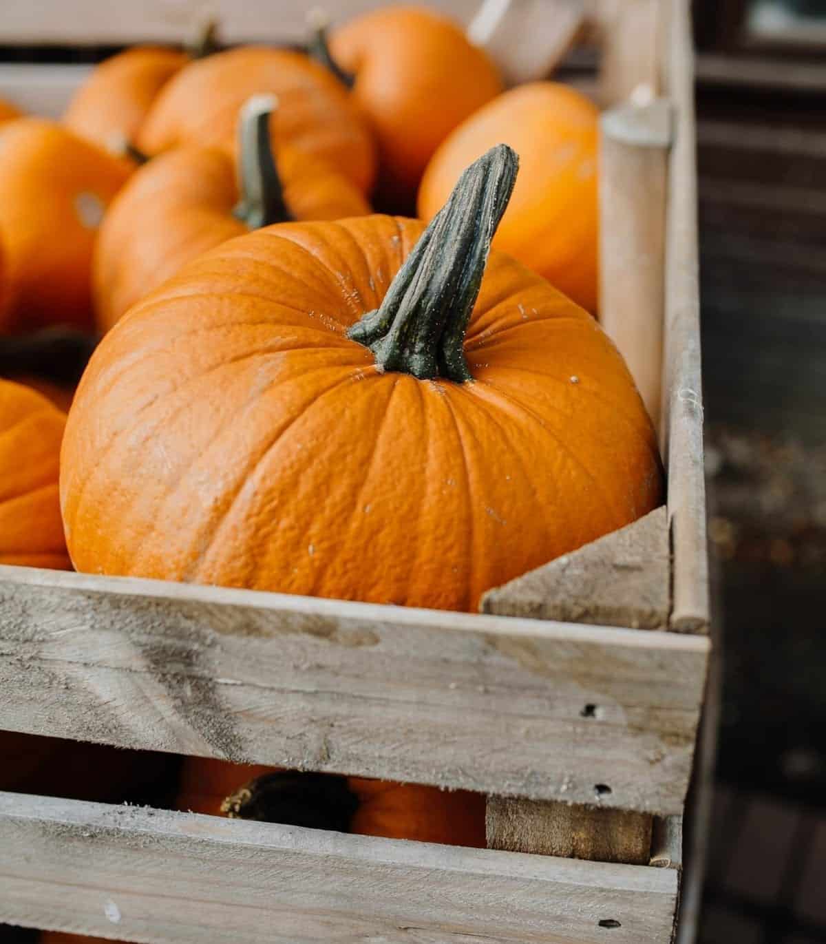 wooden crate filled with bright orange pie pumpkins.