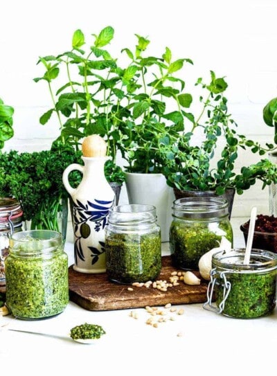 multiple glass jars of vegan pesto recipes surrounded by fresh herbs, lemon and nuts on a white counter top.